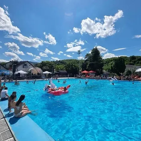 Leon * Vrnjačka Banja